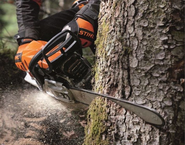 Arborist i Gävle