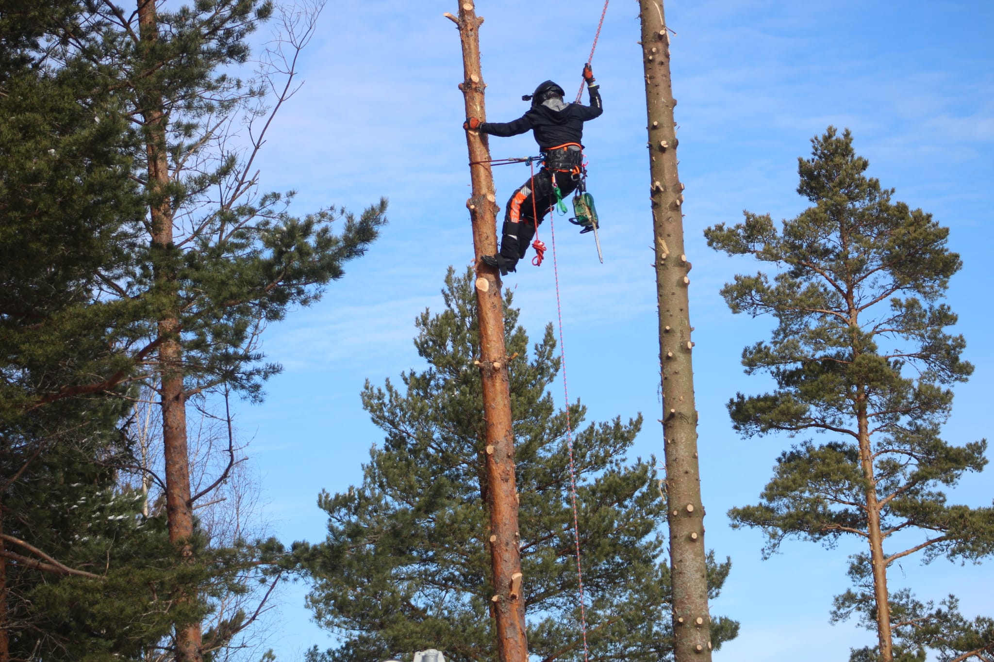 WhatsApp Image 2024 03 25 at 19.59.22