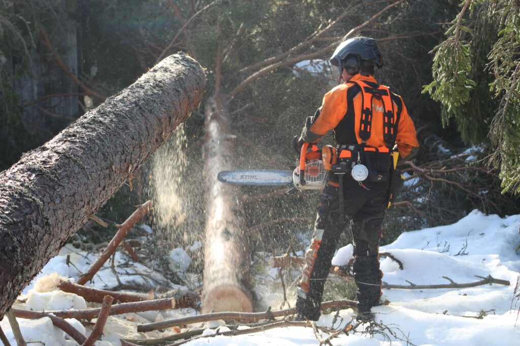 763AF2D6 BC82 4E0C 9AA2 0B44BEC1B16E (1)