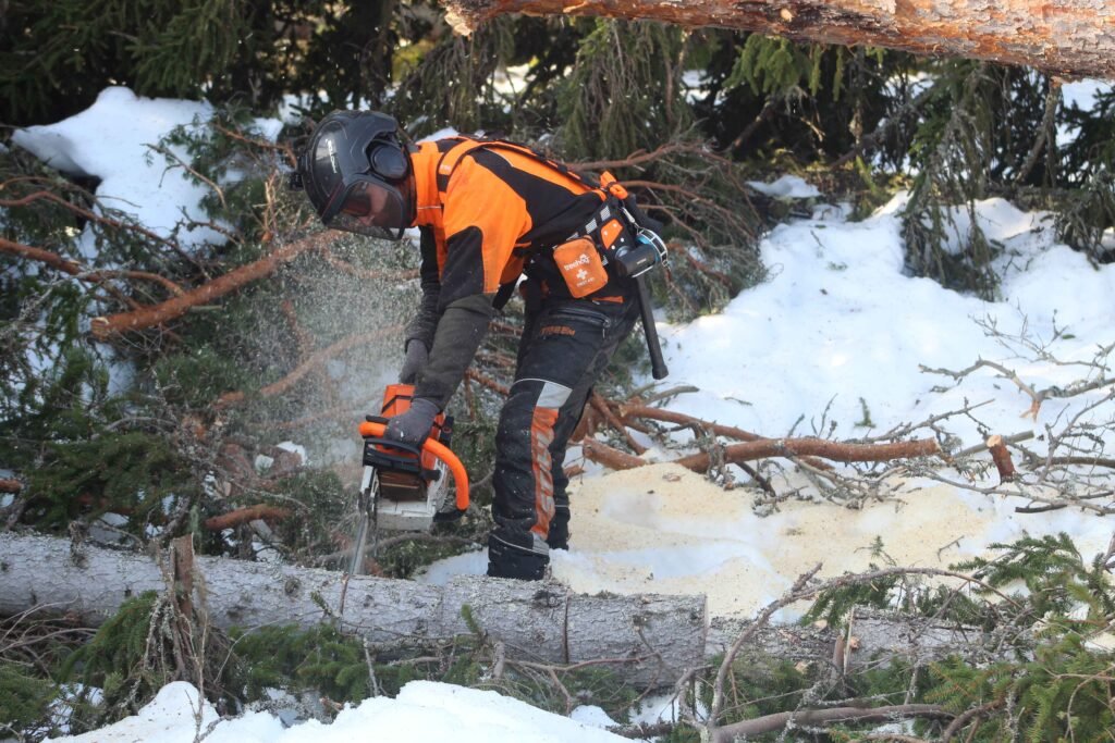 Arborist i Sandviken