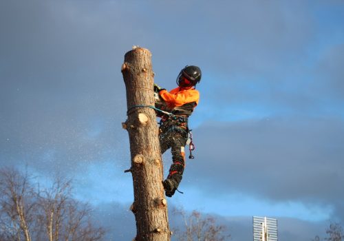 80609D8B 648A 4123 91EE 7B83072D6D87