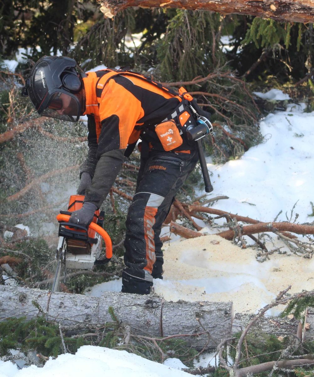 A3C7C605 7C51 42F9 816C DB13AE59F62E (1)