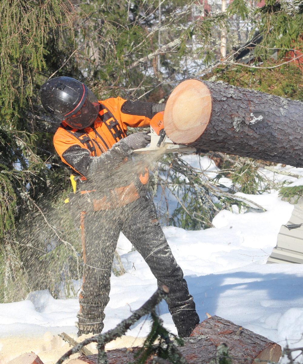 B581920F 1DF0 4A71 A4B7 482D8E34297F